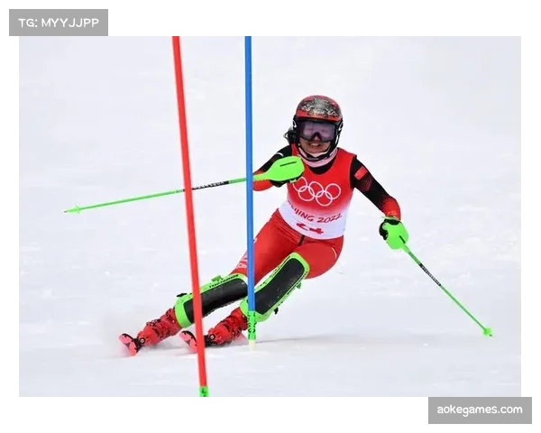 自行车运动普及度提升,2026年预计参赛人数创新高